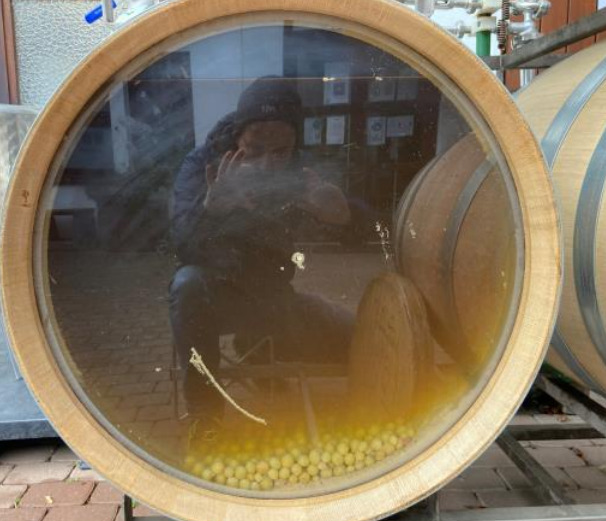 Produrre vino senza additivi e solfiti la rivoluzione delle botti Vbung enologo inventore Vitalie Popa 2