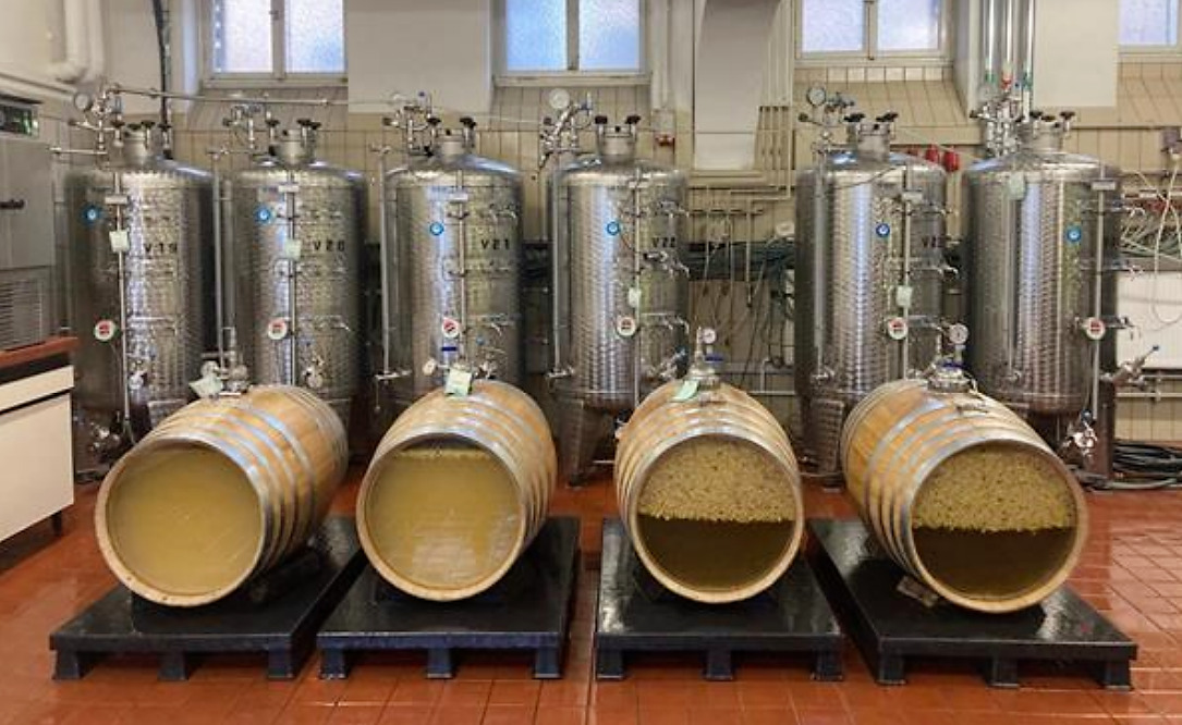 L'invenzione di Vitalie Popa testata a Geisenheim