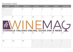 Le winenews del vino italiano in 12 giorni: cosa è successo a novembre 2022?