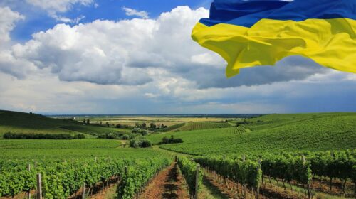Città del Vino collabora al rilancio delle 7 Strade del Vino dell'Ucraina
