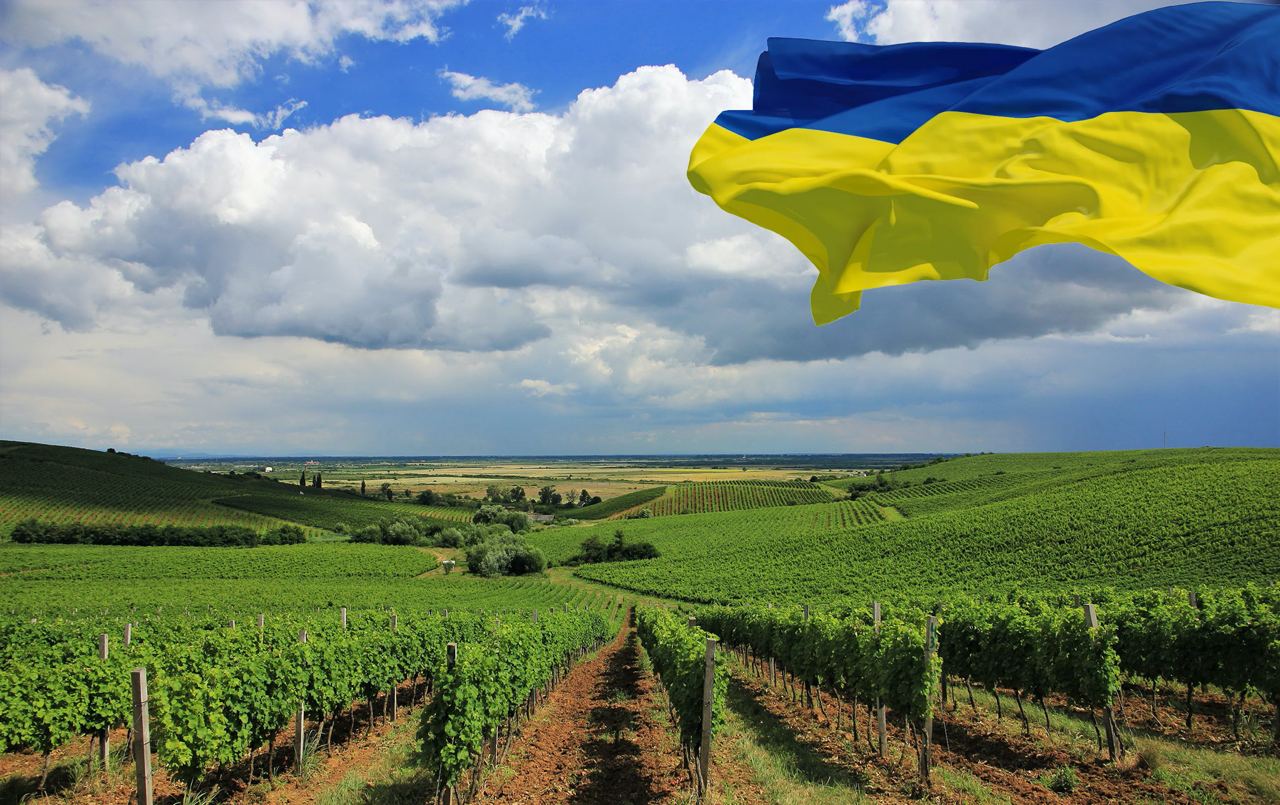 Città del Vino collabora al rilancio delle 7 Strade del Vino dell'Ucraina
