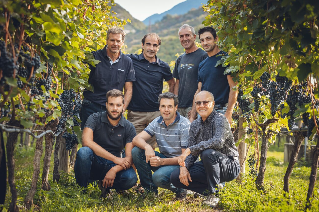 DiVin Nosiola, quando il vino si fa santo in Trentino si celebra il tradizionale passito vignaioli rito della spremitura degustazioni palazzo roccabruna trento