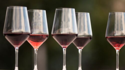 Giornate altoatesine del Pinot Nero 2023 vincitori regionali Blauburgundertage