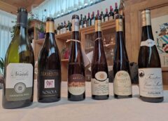 Nosiola e Rebo gli Hänsel e Gretel della viticoltura trentina vini del Trentino vino santo reboro