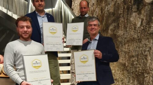 Proclamati i migliori Sauvignon Blanc italiani concorso nazionale 2023