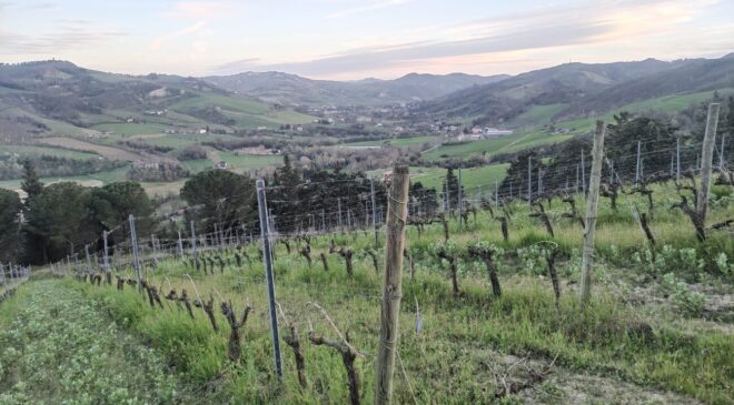 Romagna Doc Predappio next generation Sangiovese sottozone