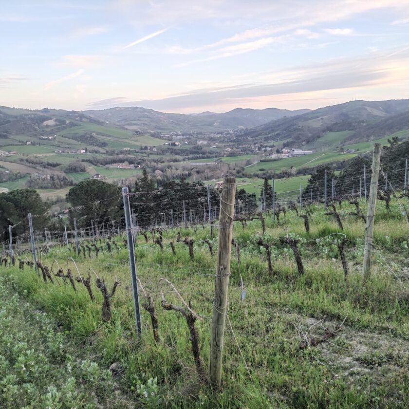 Romagna Doc Predappio next generation Sangiovese sottozone
