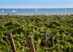 Sicilia en Primeur 2023 l'anteprima dei vini siciliani a Taormina e Radicepura