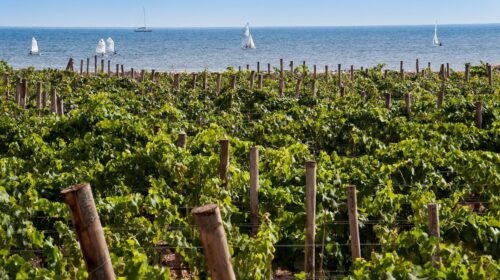 Sicilia en Primeur 2023 l'anteprima dei vini siciliani a Taormina e Radicepura