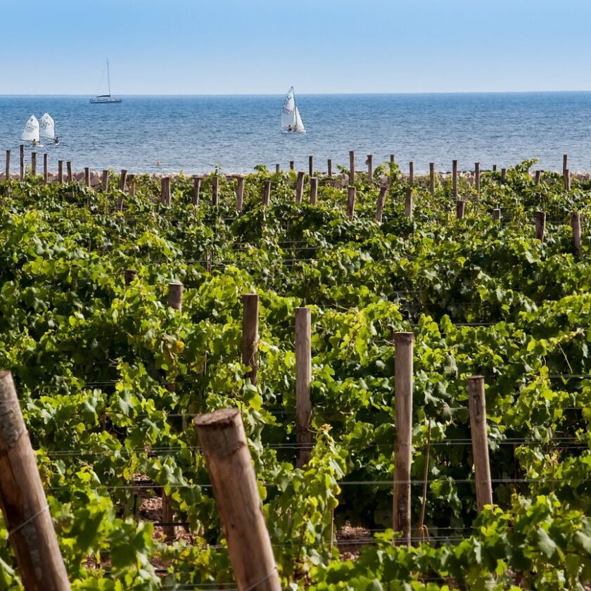 Sicilia en Primeur 2023 anteprima dei vini siciliani a Taormina e Radicepura