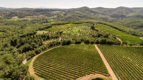 Sistema delle ville-fattoria nel Chianti Classico verso riconoscimento Unesco