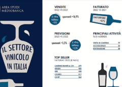 Indagine settore vinicolo Mediobanca lo stato di salute delle imprese italiane