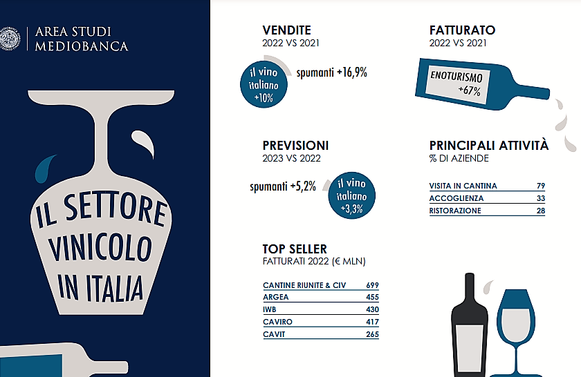 Indagine settore vinicolo Mediobanca lo stato di salute delle imprese italiane