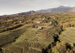 La Sicilia del vino, sempre più matura e di qualità radiografia di Sicilia en Primeur