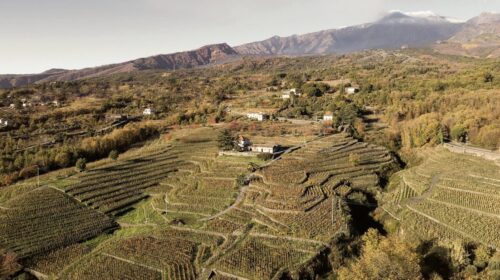 La Sicilia del vino, sempre più matura e di qualità radiografia di Sicilia en Primeur