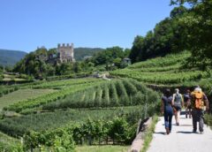 36ª edizione della Rassegna Müller Thurgau Vino di Montagna calendario eventi dal 6 al 9 luglio 2023 a Cembra
