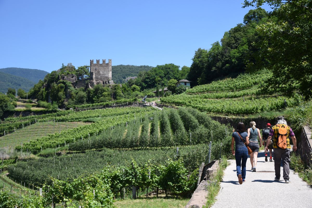 36ª edizione della Rassegna Müller Thurgau Vino di Montagna calendario eventi dal 6 al 9 luglio 2023 a Cembra