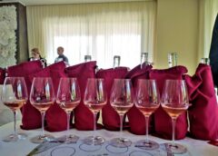 Cinque vini rosati 2022 della Campania da non perdere campania stories 2023 migliori rosé campani