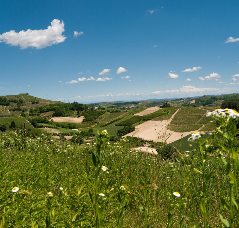 Colline del Roero Piemonte Italia