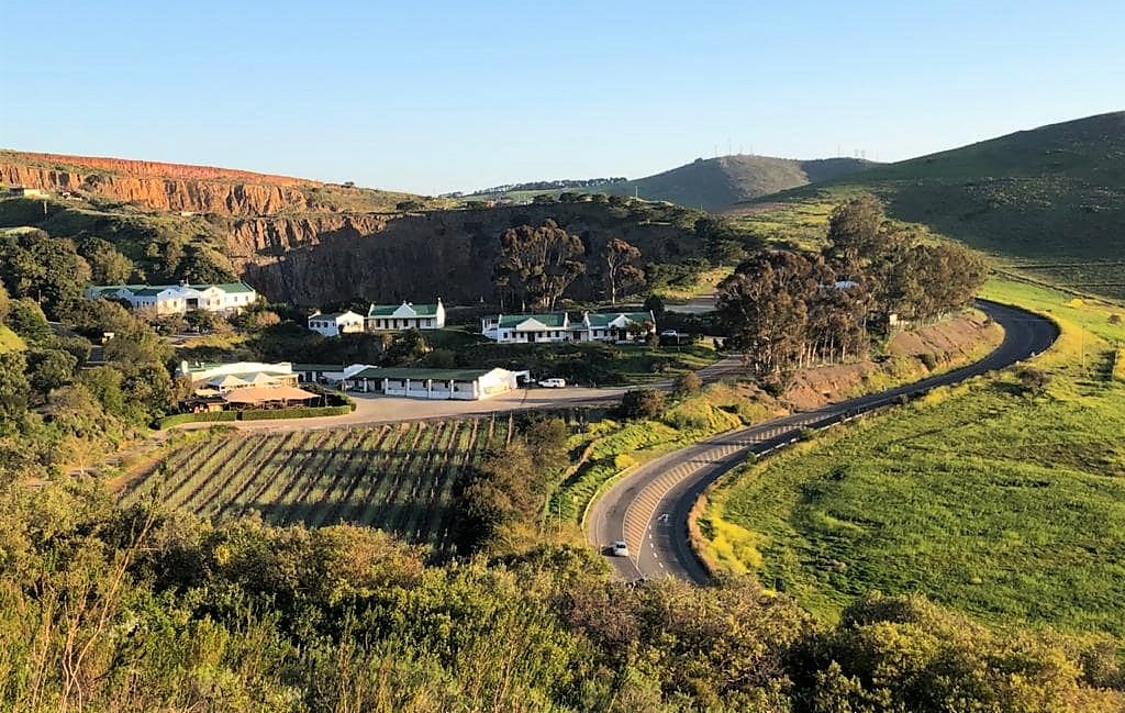 La fresca vendemmia 2023 del Sudafrica quantità a picco, qualità eccellente situazione regioni vinicole