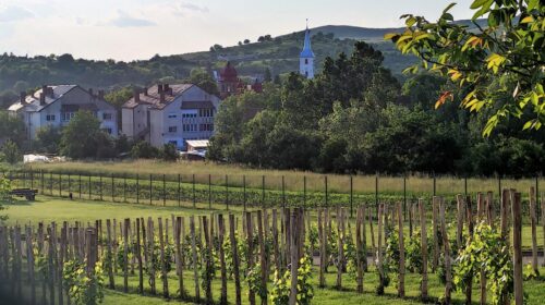 La nuova Transilvania, ultima frontiera dei vini rossi della Romania paesaggi mozzafiato eleganza Fetească neagră Pinot Nero enoturismo