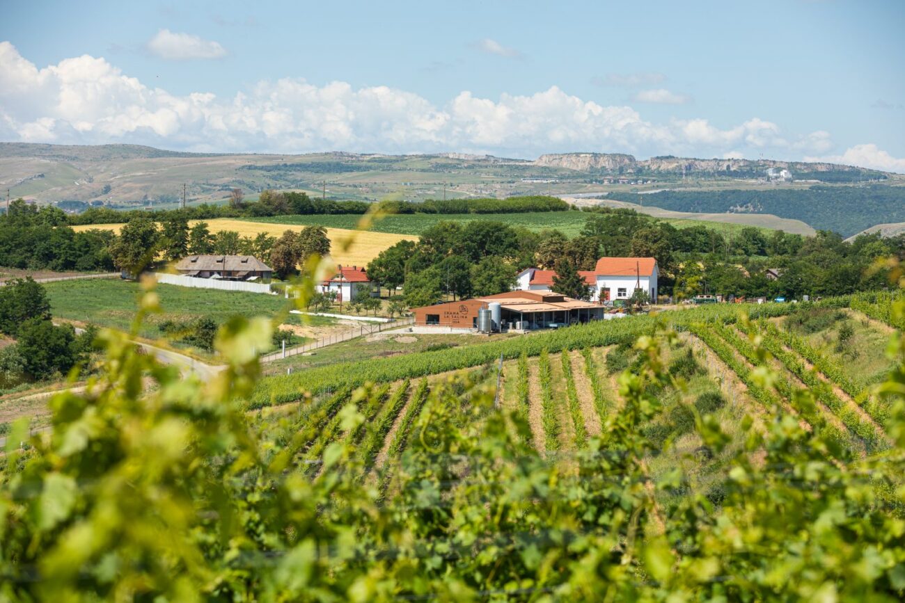 La nuova Transilvania, ultima frontiera dei vini rossi della Romania paesaggi mozzafiato eleganza Fetească neagră Pinot Nero enoturismo crama la salina winery turda