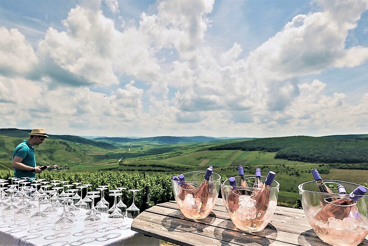 La nuova Transilvania, ultima frontiera dei vini rossi della Romania paesaggi mozzafiato eleganza Fetească neagră Pinot Nero enoturismo crama liliac winery