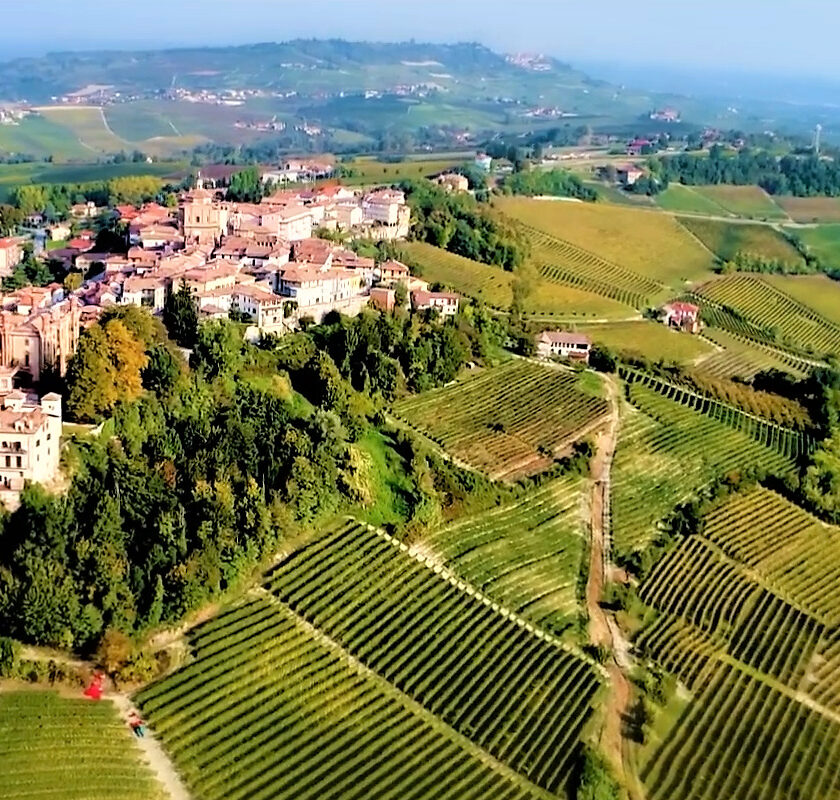 Alba e Langhe in arrivo tre nuovi spumanti Metodo classico da Nebbiolo e Rese Langhe Doc Bag in box varieta aromatiche Albarossa rose modifiche disciplinari