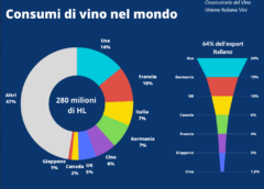 Consumi di vino con il freno a mano fino al 2039 i Paesi produttori corrono ai ripari osservatorio unione italiana vini