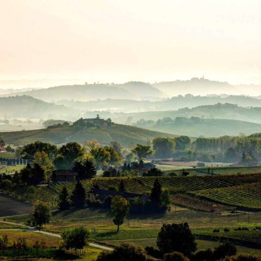 Barbera d Asti e Vini del Monferrato vendemmia 2023 piu scarsa del 10