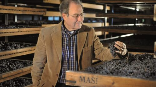 Ricerca e sviluppo in viticoltura ed enologia Oiv chiama, Masi Agricola risponde holding famiglia boscaini nel consortium