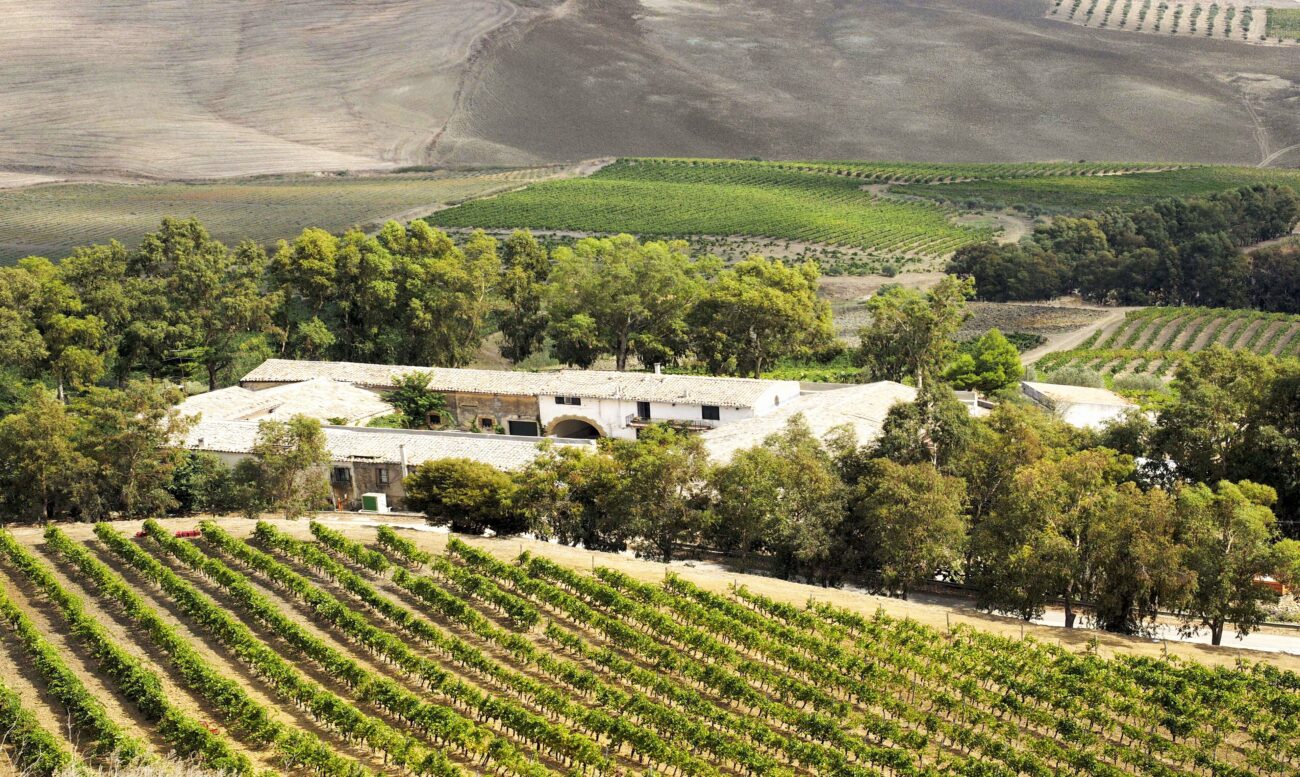 Sicilia prima regione vinicola al mondo per viticoltura biologica