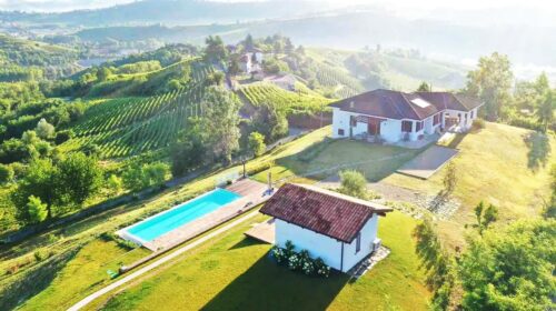 La Categoria Vigneti spopola in vendemmia Toscana al vertice della Top 10 Airbnb Italia