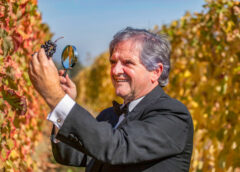 «Ritorno al piede franco per sostenibilità viticoltura» la proposta di Donato Lanati