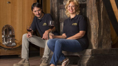 Tenute Silvio Nardi Cantina dell anno Centro Italia per la Guida Top 100 Migliori vini italiani brunello di montalcino vigneto manachiara 96