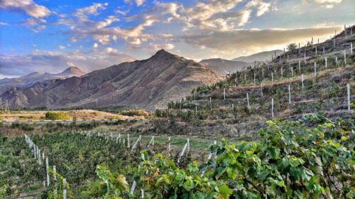 L'Armenia del vino è risorta fotografia dalla periferia del mondo