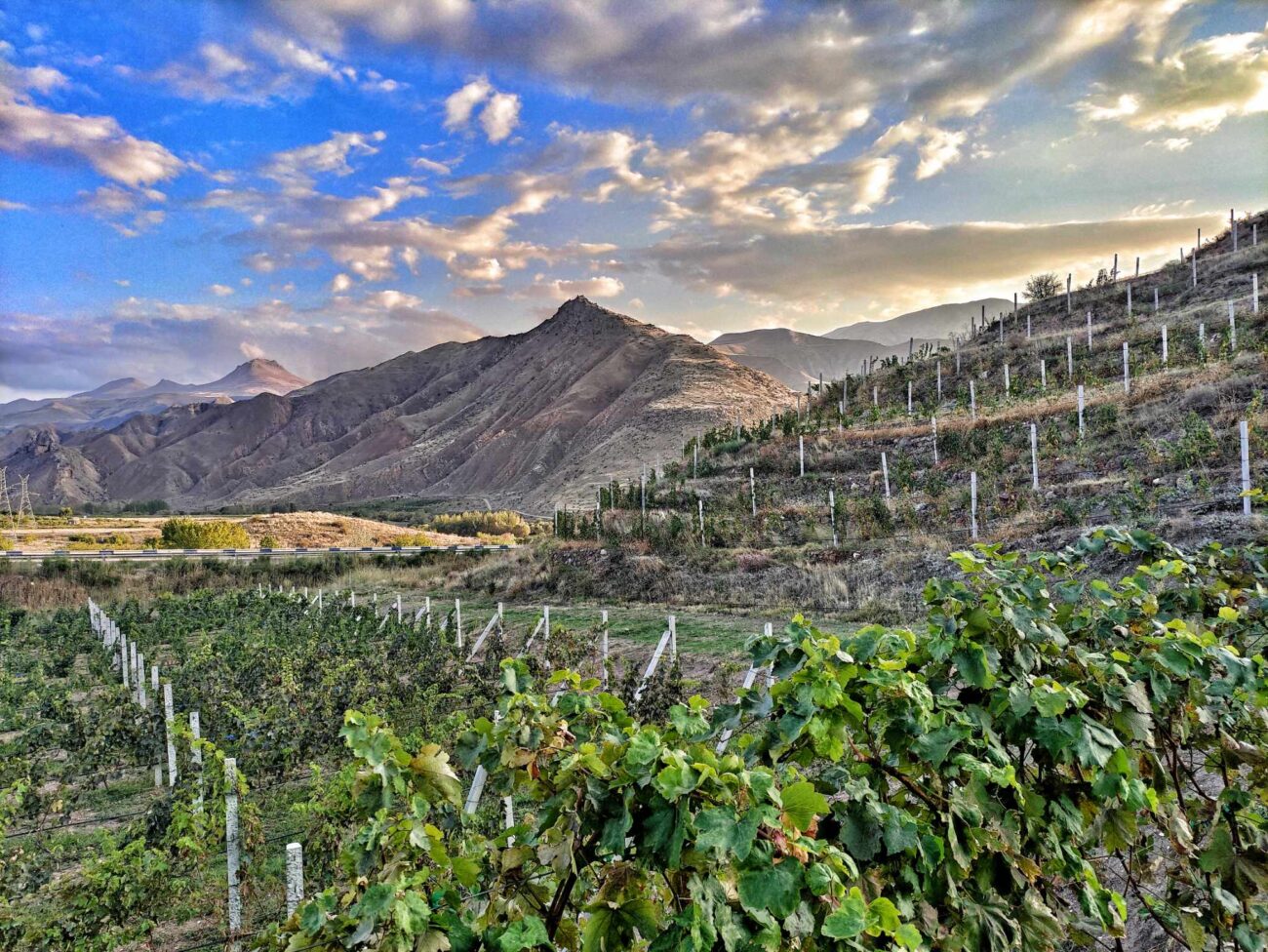 L'Armenia del vino è risorta fotografia dalla periferia del mondo