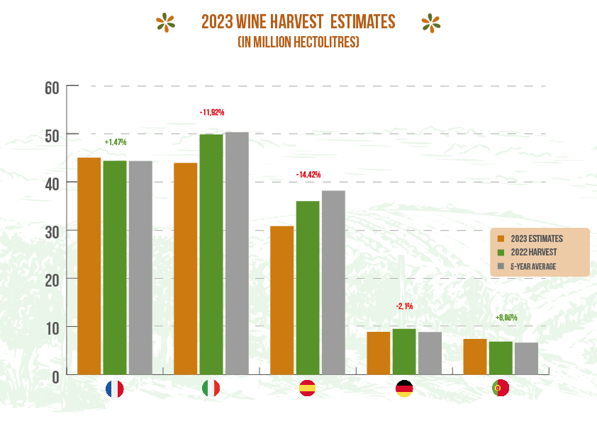 L’Italia perde il primato della quantità di vino prodotto in Europa e nel mondo