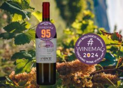 Miglior vino biologico italiano 2024 Bianchello del Metauro Doc Superiore 2020 Andy'20 Valentino Fiorini guida top 100 winemag davide bortone