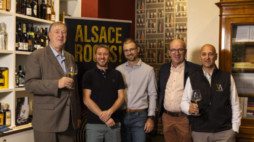 Sorpresa (anzi no) Alsazia punta sul Pinot Noir Foulques Aulagnon Export Marketing Manager Civa Alsace