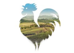 Chianti Classico Gran Selezione 63 vini con punteggi alla cieca 2020 2019 2018 2017 2016 winemag