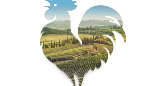Chianti Classico Gran Selezione 63 vini con punteggi alla cieca 2020 2019 2018 2017 2016 winemag