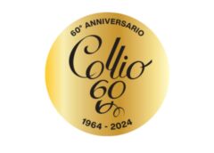 Consorzio Tutela Vini Collio festeggia 60 anni nel 2024 logo 1964-2024