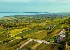 Grow du Monde: il concorso che valorizza uno dei vitigni più sottovalutati d’Italia