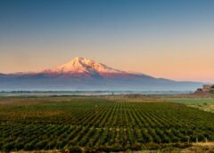 In Armenia la Conferenza mondiale sul turismo del vino 2024