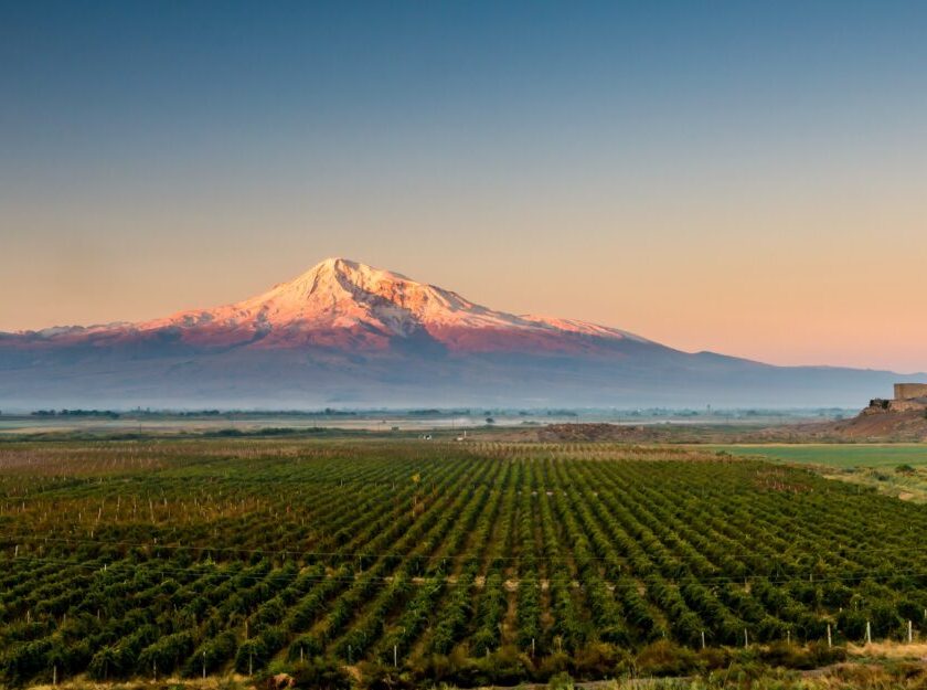 In Armenia la Conferenza mondiale sul turismo del vino 2024