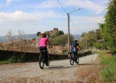 Tra le vigne dell'Erbaluce con l'E-Bike Food Festival della Serra Morenica
