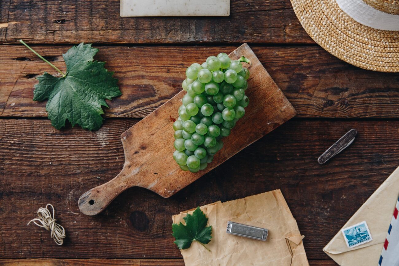 Olaszrizling, il nome ungherese del Riesling italico: grappolo e foglia Olaszrizling, il nome ungherese del Riesling italico: grappolo e foglia