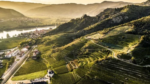 I produttori di Wachau ottengono la certificazione Sustainable Austria
