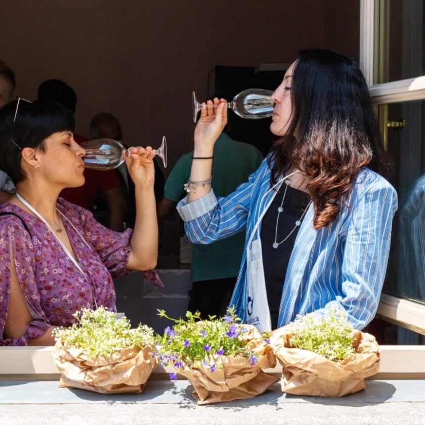 Abaccabianca 2024 Gavi e Timorasso Derthona sfidano Borgogna e Mosella